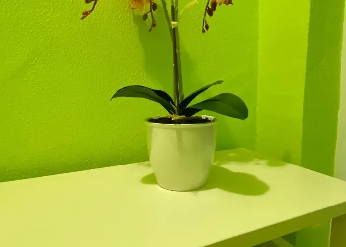 アパート Aurora Sea Breeze